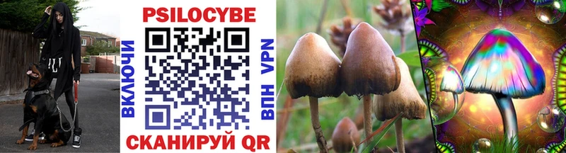 Галлюциногенные грибы GOLDEN TEACHER  Фролово 