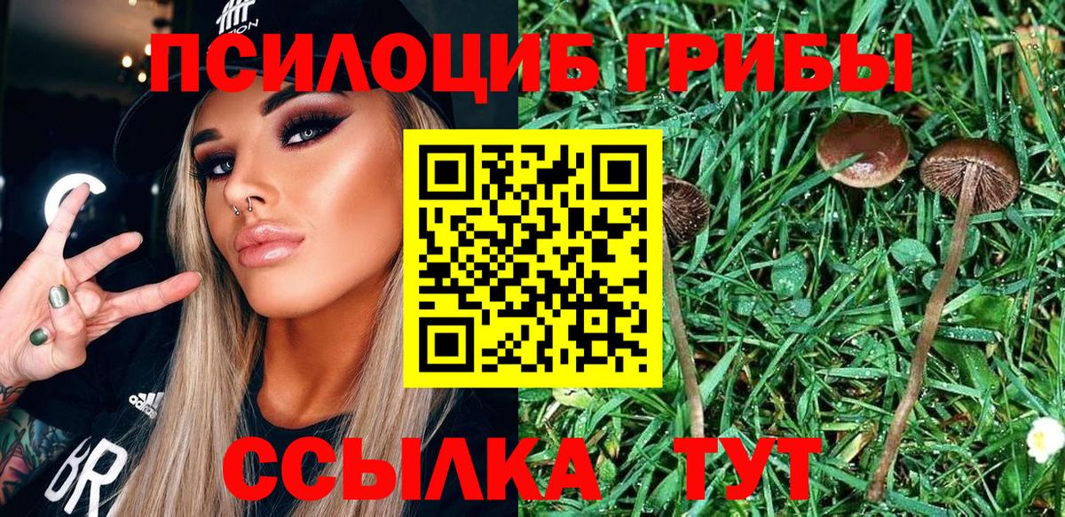 Галлюциногенные грибы прущие грибы Фролово