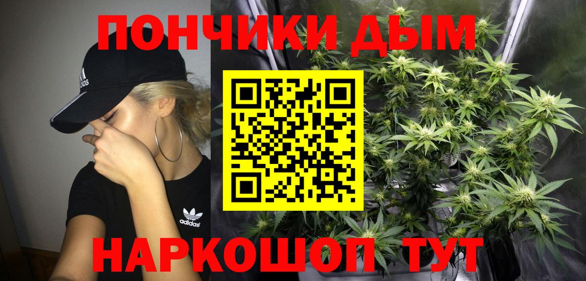 Марихуана сатива Фролово